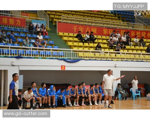 常德篮球明星的成长之路与辉煌成就探秘