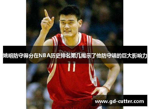 姚明防守得分在NBA历史排名第几揭示了他防守端的巨大影响力