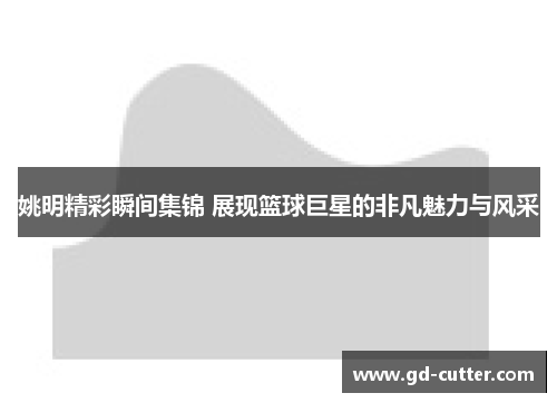 姚明精彩瞬间集锦 展现篮球巨星的非凡魅力与风采