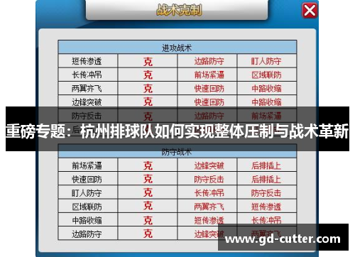 重磅专题：杭州排球队如何实现整体压制与战术革新
