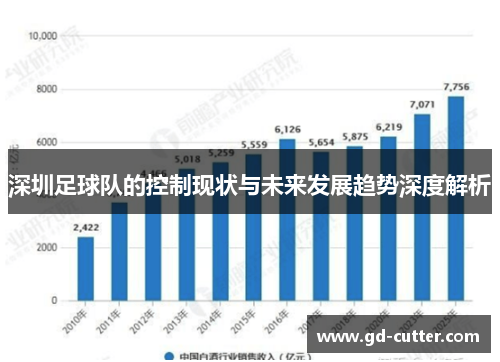 深圳足球队的控制现状与未来发展趋势深度解析