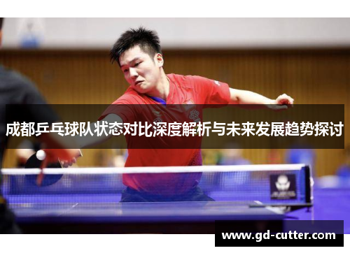 成都乒乓球队状态对比深度解析与未来发展趋势探讨