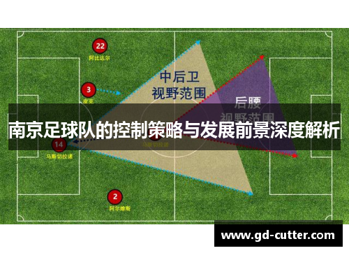 南京足球队的控制策略与发展前景深度解析