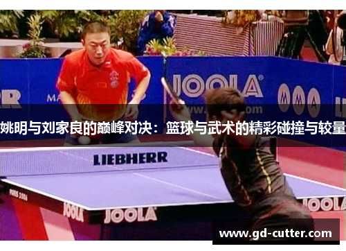 姚明与刘家良的巅峰对决：篮球与武术的精彩碰撞与较量