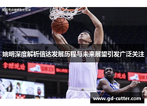 姚明深度解析信达发展历程与未来展望引发广泛关注