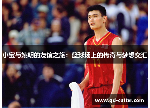 小宝与姚明的友谊之旅：篮球场上的传奇与梦想交汇