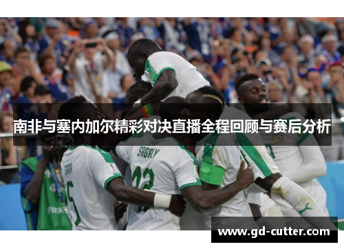 南非与塞内加尔精彩对决直播全程回顾与赛后分析