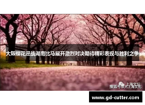 大阪樱花迎战湖南比马展开激烈对决期待精彩表现与胜利之争