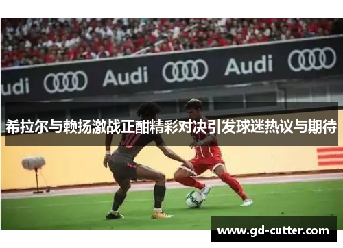 希拉尔与赖扬激战正酣精彩对决引发球迷热议与期待